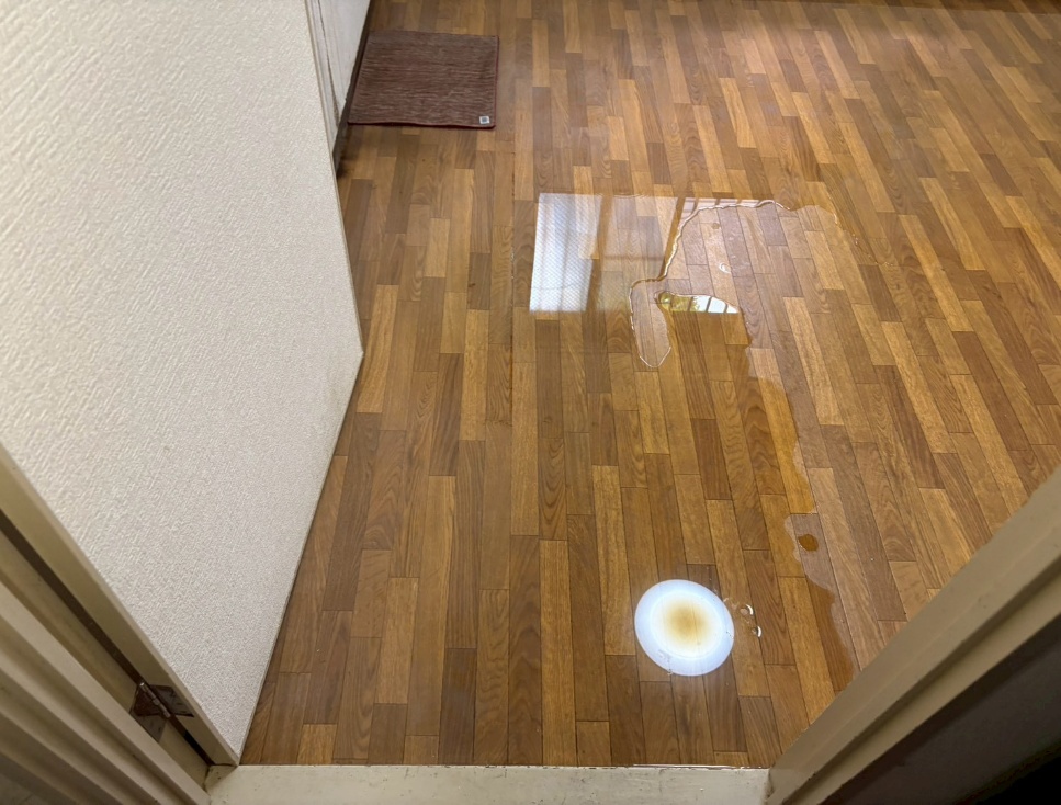 洋室の天井部の被害