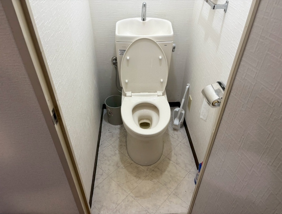 トイレの天井部の被害